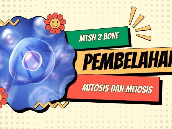 Pengertian Pembelahan Sel dan 10 Contoh Soal HOTS Mitosis dan Meiosis