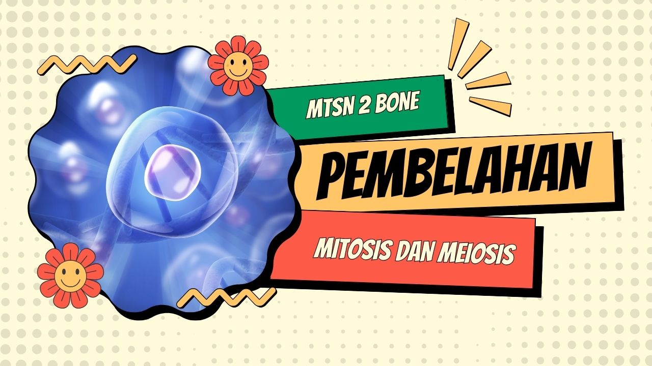 Pengertian Pembelahan Sel dan 10 Contoh Soal HOTS Mitosis dan Meiosis